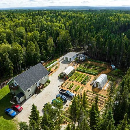 Upper Humber Settlement A Farmstay B&B Cormack Luaran gambar