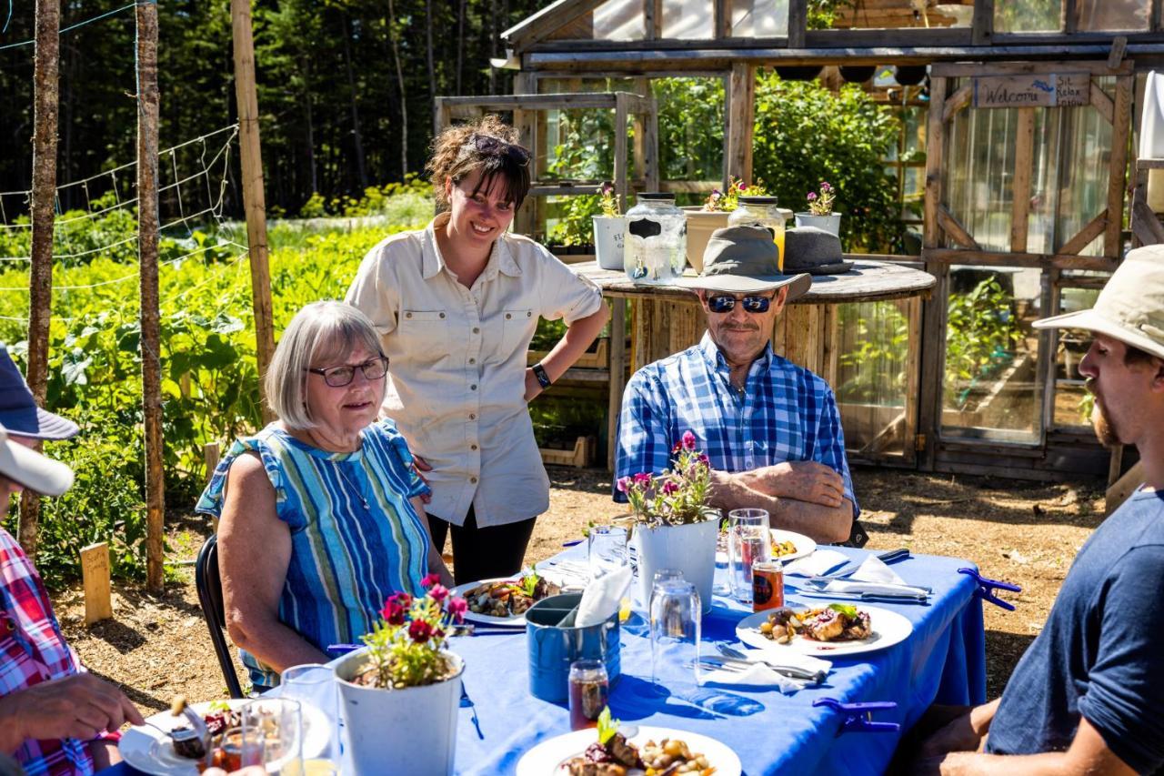 Upper Humber Settlement A Farmstay B&B Cormack Luaran gambar